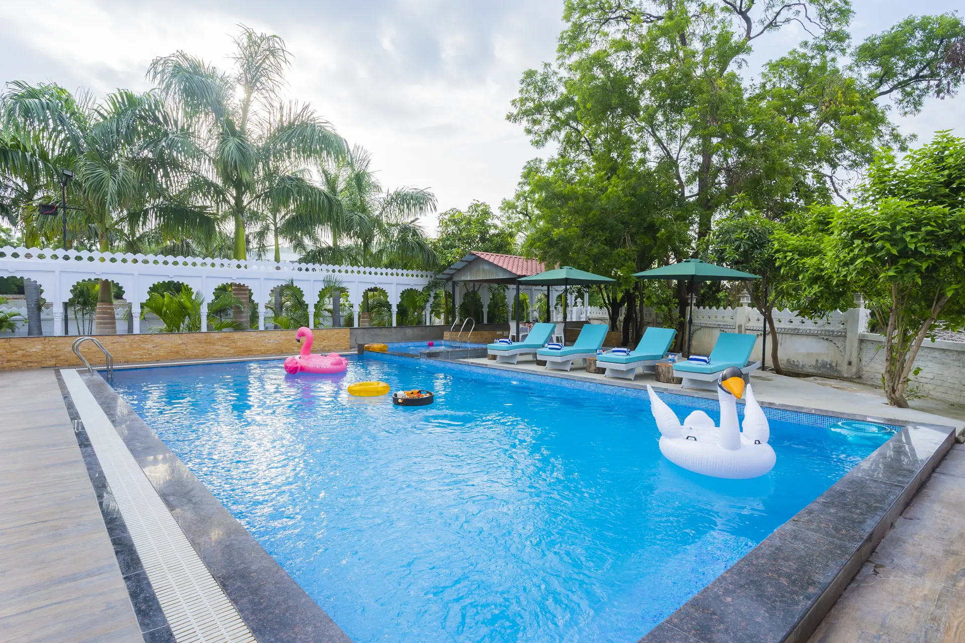 The Pool Oasis
